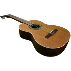 تصویر گیتار مارتین D6 