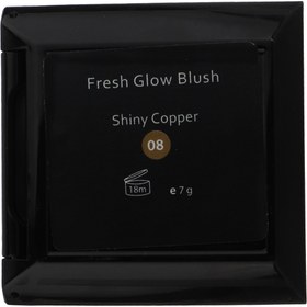 تصویر رژ گونه این لی مدل Shiny Copper 08 