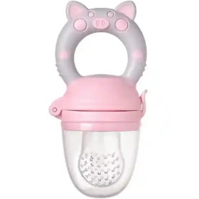 تصویر پک پستانک غذاخوری و آبمیوه خوری چيکو Chicco baby fruit feeder pacifer code:001145