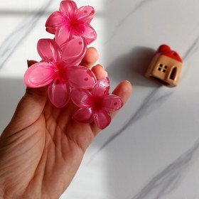 تصویر کلیپس پلومریا ۳ گل - آیی 