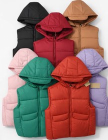 تصویر پافر اکو 