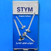 تصویر سوپاپ هوا و دود موتور خودرو اس تی وای ام مدل 002059 کد TU5 مناسب برای پژو ۲۰۶ تیپ ۵ ، ۲۰۷ رانا بسته ۱۶ عددی 