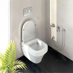 تصویر ملزومات شیر توالت بیده توکار کلار مدل رویا لاکچری 