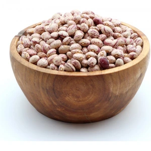 تصویر فروشگاه پالامی