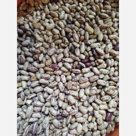 تصویر لوبیا چیتی خوش پخت محلی 