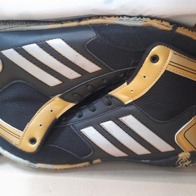 تصویر کفش کشتی هما 