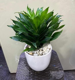 تصویر کامپک 