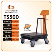 تصویر باسکول ۵۰۰ کیلو گرم پیام توزین مدل TS 500 