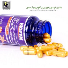 تصویر کپسول باکتری و پروبیوتیک آکواریوم های آب شور BC401 بایوزیم Biozym Marine Fish Staple Diet 215g