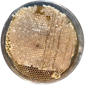 تصویر عسل طبیعی 40 گیاه موم دار - 1000 گرم 