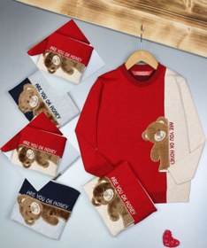 تصویر بافت تدی - ۴ ۳۲۳