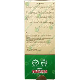 تصویر شامپو بدون سولفات موهای چرب ژوت 250 میلی لیتر Jute Shampoo Solfate free for Greacy Hair 250 ml