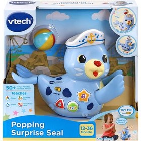 تصویر فک موزیکال Vtech 