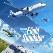 تصویر بازی Microsoft Flight Simulator 