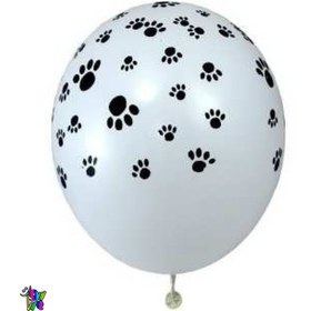 تصویر بادکنک پنجه سگ 