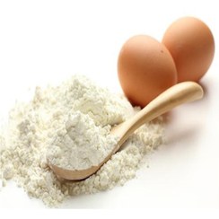 تصویر پودر سفیده تخم مرغ 