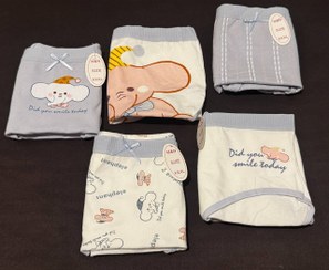 تصویر پک ۵عددی شورت زنانه 