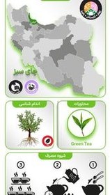 تصویر چای سبز خالص نیوشا ۲۵۰ گرمی 