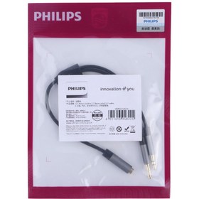 تصویر تبدیل 1 به 2 صدا Philips SWR2115A/93 25cm 