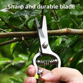 تصویر قیچی میوه چینی دلی مدل DL580123 