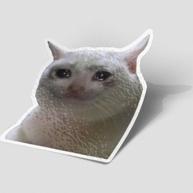 تصویر استیکر میم گربه گریان 