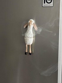 تصویر مگنت و جاعودی ببعی 