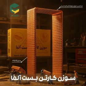 تصویر سوزن کارتن 