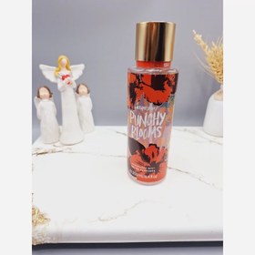 تصویر بادی اسپلش 250 ml شاین دار مدل PUNCHY BLOGM 