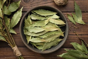 تصویر برگ بو - پاکت پلاستیک / 1kg / برگ خشک لوکس Bay Leaf