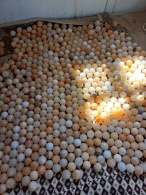 تصویر گوی ماساژ سنگ نمک قطر فروش عمده 10 - ترکیبی همه رنگ ها salt ball r10