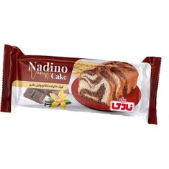 تصویر کیک خانواده کاکائو وانیل نادینو نادی 100 گرم 