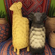 تصویر مشتی میش بزرگ 