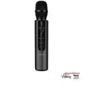 تصویر میکروفون اسپیکر کارائوکه گرین لاین Green Lion Karaoke Microphone