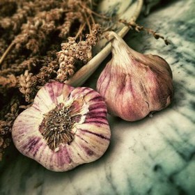 تصویر فوراور گارلیک تایم (سیر و آویشن) | Forever Garlic Thyme 