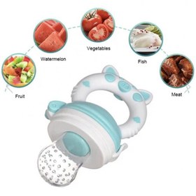 تصویر پک پستانک غذاخوری و آبمیوه خوری چيکو Chicco baby fruit feeder pacifer code:001145