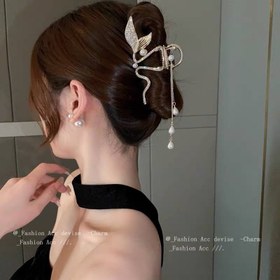 تصویر کلیپس مجلسی پری 