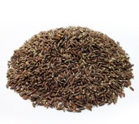 تصویر بذرک سیاه 