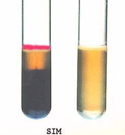 تصویر محیط کشت SIM کد 105470 مرک - 500 گرم SIM (Sulfite Indole Motility) Agar , Merck