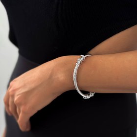 تصویر بنگل پیچی تیتانیوم 