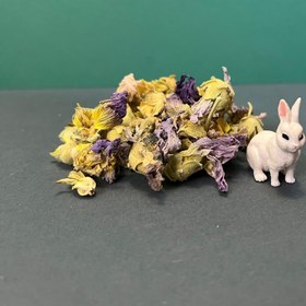 تصویر ختمی بنفش 