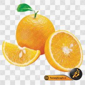 تصویر png میوه جات پرتغال 