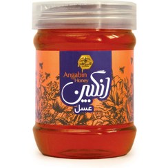 تصویر عسل ۵۰۰ گرمی چهل گیاه 