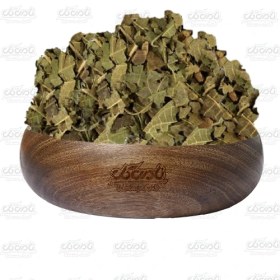 تصویر برگ گردو 