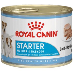 تصویر کنسرو استارتر رویال کنین توله سگ و مادر 195 گرم Royal Canin Starter Mousse 195gr