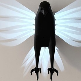 تصویر چراغ دیواری شاهین 