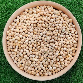 تصویر نخود ۱ کیلوگرم دیم 