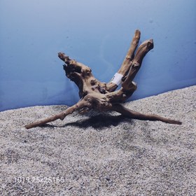 تصویر ریشه آبنوس گد1019 ارسال این ریشه رایگان می باشد