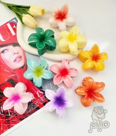 تصویر کلیپس پلومریا 