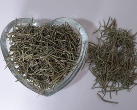 تصویر رزماری 