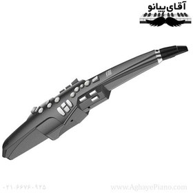 تصویر ساکسیفون رولند AE-10 Aerophone BK 